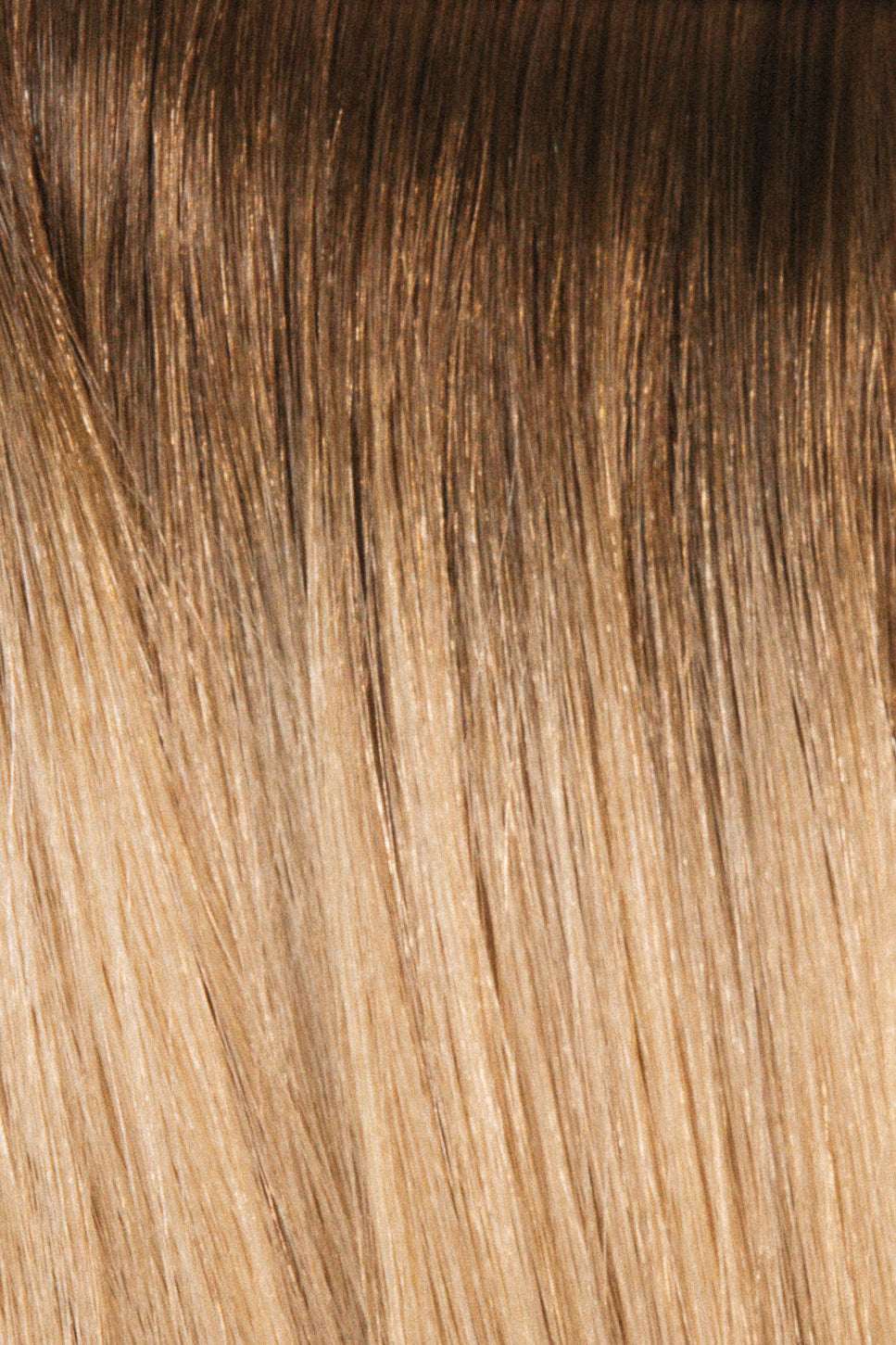 Signature Hybrid Weft Collection