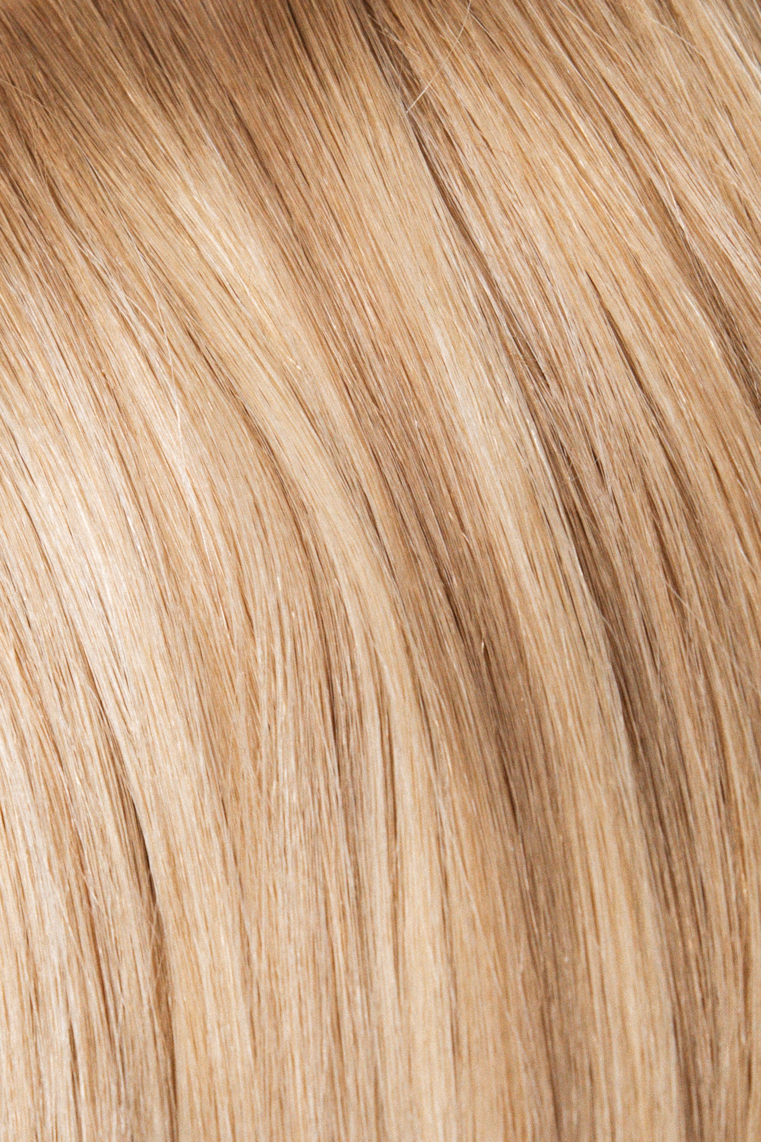 Signature Hybrid Weft Collection